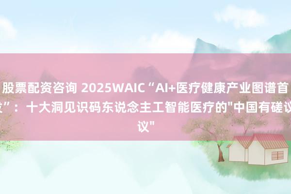 股票配资咨询 2025WAIC“AI+医疗健康产业图谱首发”：十大洞见识码东说念主工智能医疗的"中国有磋议"