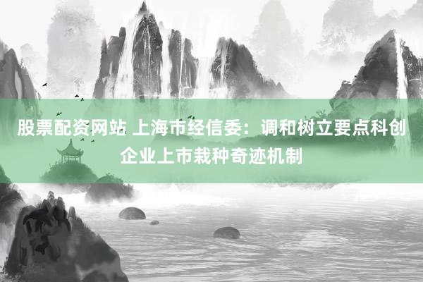 股票配资网站 上海市经信委：调和树立要点科创企业上市栽种奇迹机制