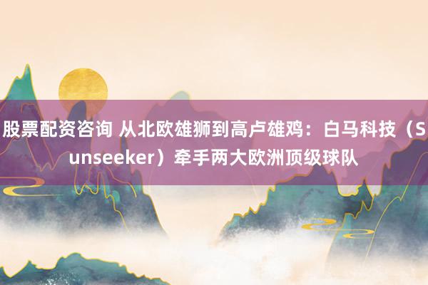 股票配资咨询 从北欧雄狮到高卢雄鸡：白马科技（Sunseeker）牵手两大欧洲顶级球队